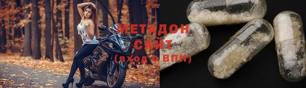 стаф Алзамай