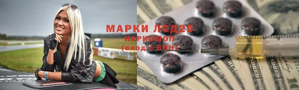 стаф Алзамай
