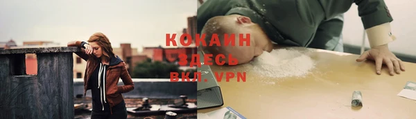 соль ск Алексеевка