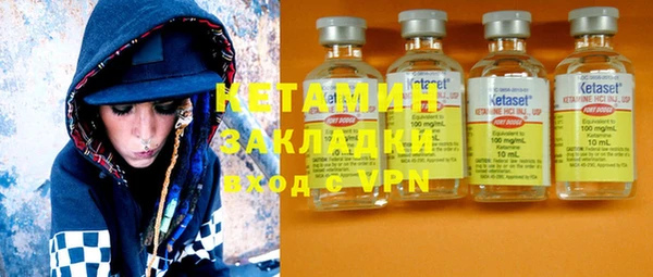 стаф Алзамай