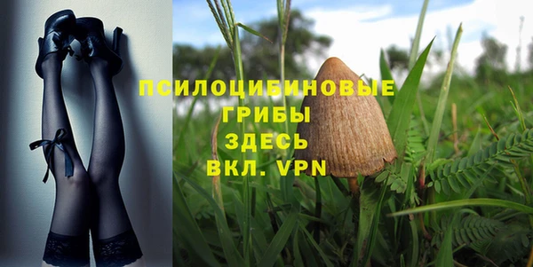 стаф Алзамай