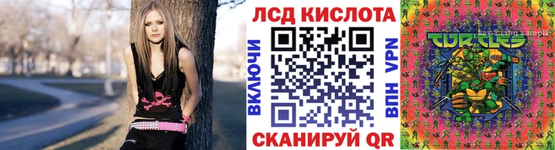 ОМГ ОМГ ссылка Бикин Марки N-bome 1500мкг