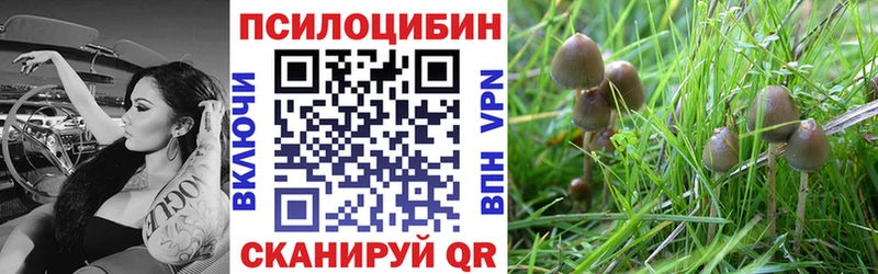 Псилоцибиновые грибы GOLDEN TEACHER  закладка  Бикин 